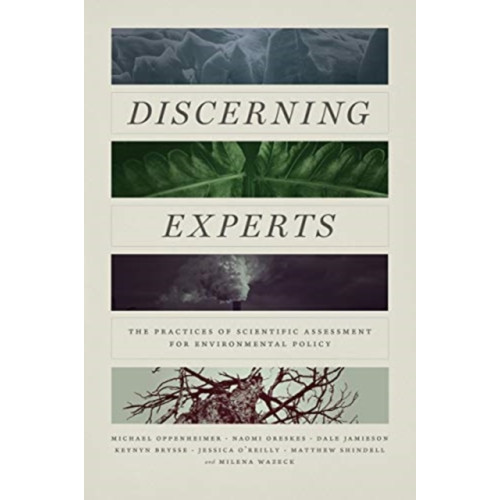 The university of chicago press Discerning Experts (häftad, eng)