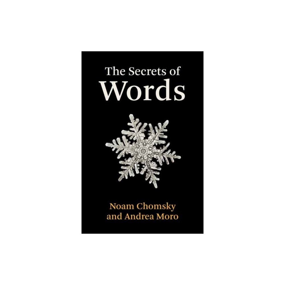 Produktbild för The Secrets of Words (inbunden, eng)