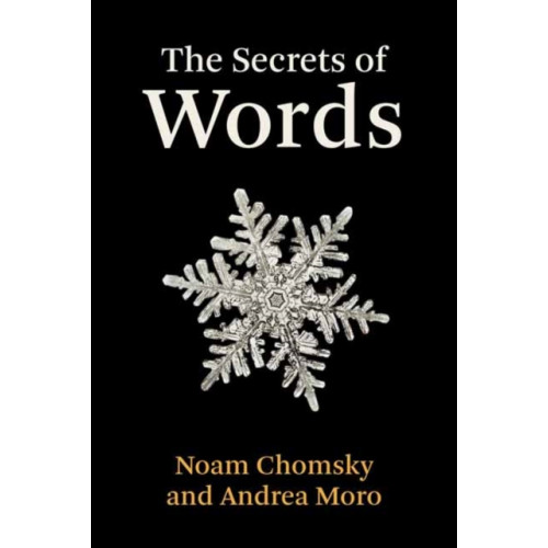 Mit press ltd The Secrets of Words (inbunden, eng)