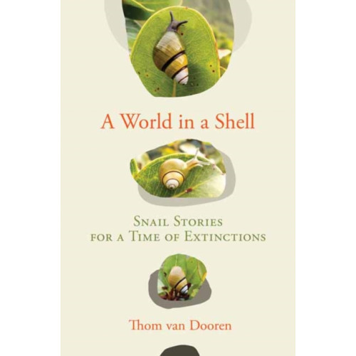 Mit press ltd A World in a Shell (inbunden, eng)