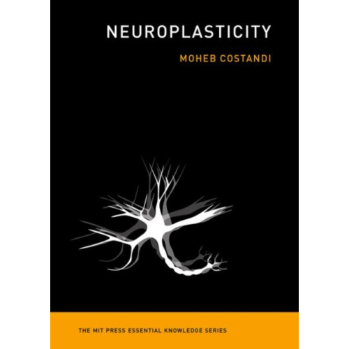 Mit press ltd Neuroplasticity (häftad, eng)