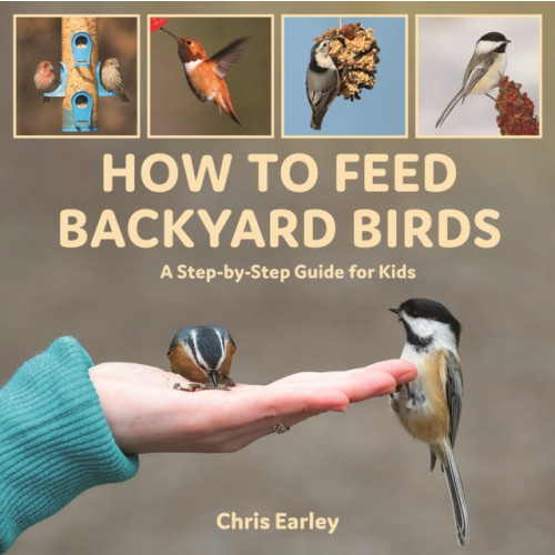 Firefly Books Ltd How to Feed Backyard Birds (häftad, eng)