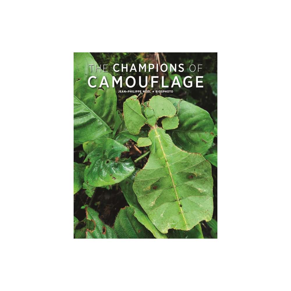 Produktbild för Champions of Camouflage (häftad, eng)