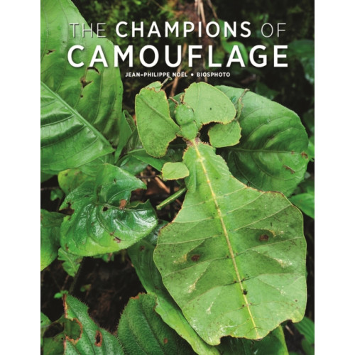 Firefly Books Ltd Champions of Camouflage (häftad, eng)