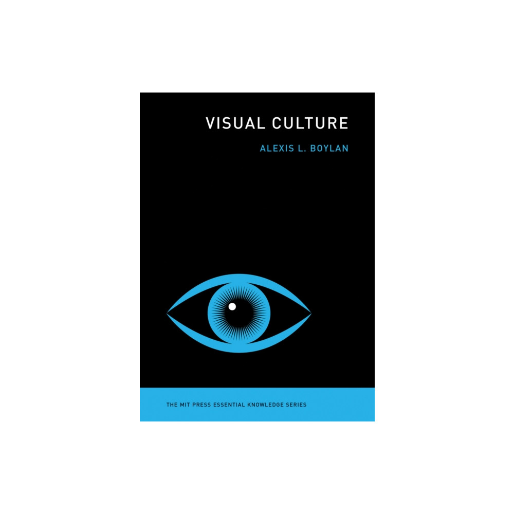 Produktbild för Visual Culture (häftad, eng)