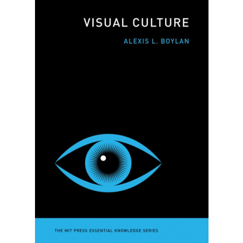 Mit press ltd Visual Culture (häftad, eng)