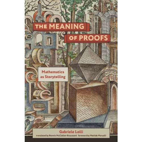 Mit press ltd The Meaning of Proofs (häftad, eng)