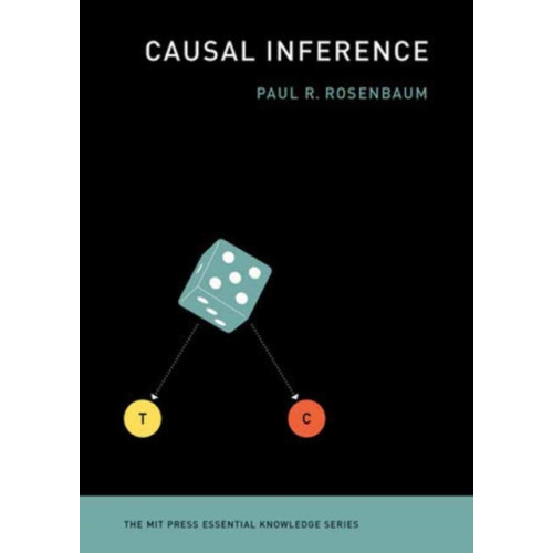 Mit press ltd Causal Inference (häftad, eng)