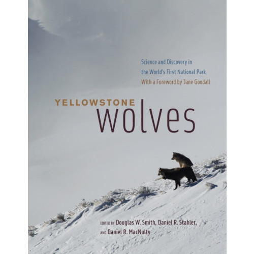 The university of chicago press Yellowstone Wolves (inbunden, eng)