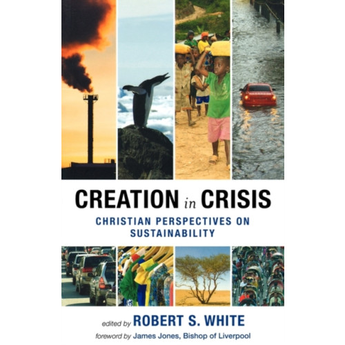 Spck publishing Creation in Crisis (häftad, eng)