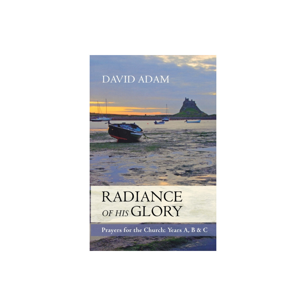 Produktbild för The Radiance of His Glory (häftad, eng)