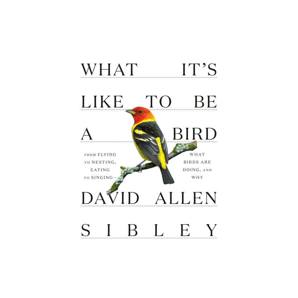 Produktbild för What It's Like to be a Bird (inbunden, eng)