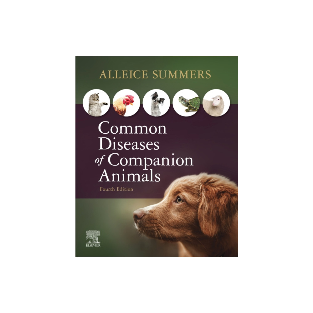 Produktbild för Common Diseases of Companion Animals (häftad, eng)