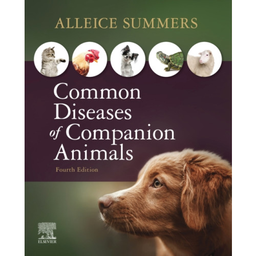 Elsevier - Health Sciences Division Common Diseases of Companion Animals (häftad, eng)