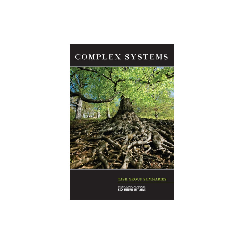Produktbild för Complex Systems (häftad, eng)