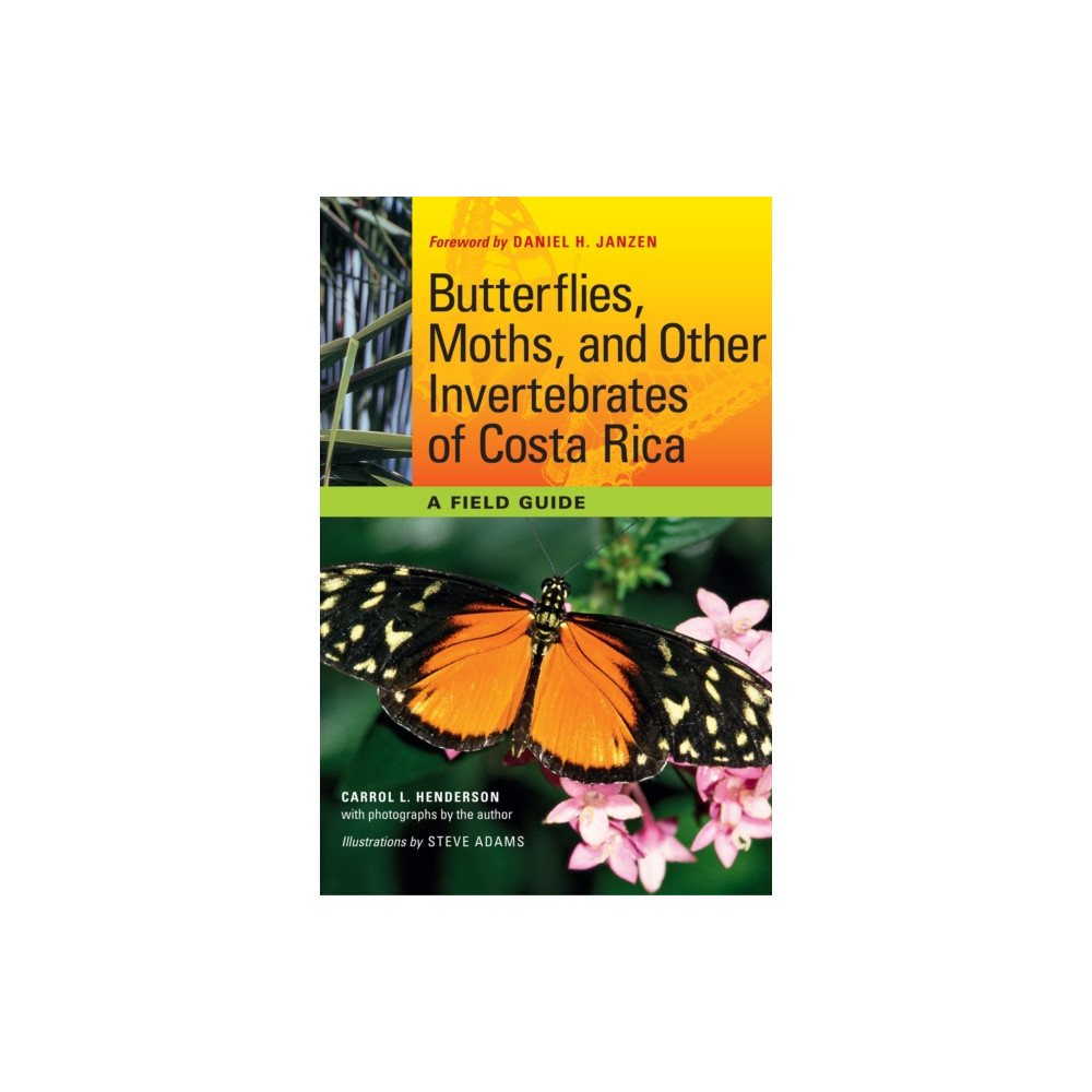 Produktbild för Butterflies, Moths, and Other Invertebrates of Costa Rica (häftad, eng)