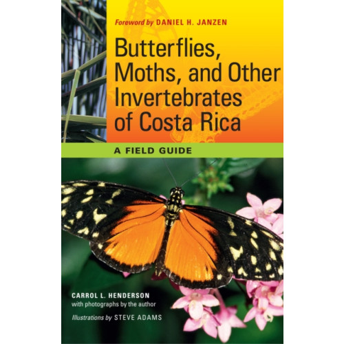 University of Texas Press Butterflies, Moths, and Other Invertebrates of Costa Rica (häftad, eng)