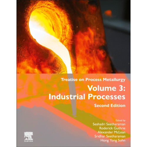 Elsevier - Health Sciences Division Treatise on Process Metallurgy (inbunden, eng)