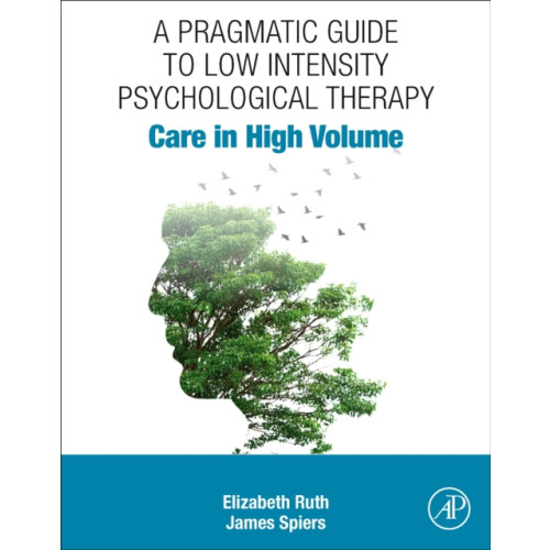 Elsevier Science & Technology A Pragmatic Guide to Low Intensity Psychological Therapy (häftad, eng)