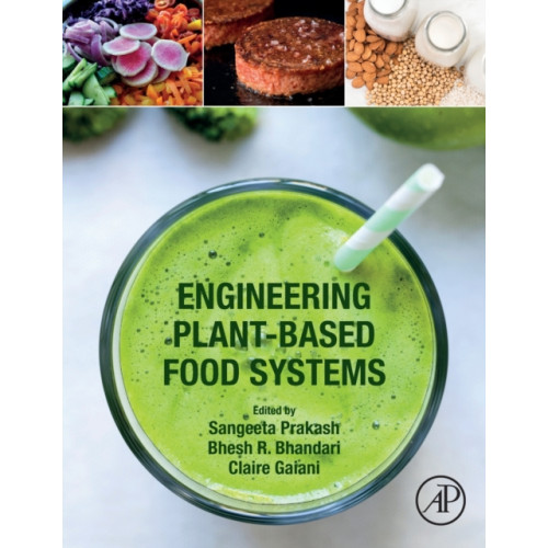 Elsevier Science & Technology Engineering Plant-Based Food Systems (häftad, eng)