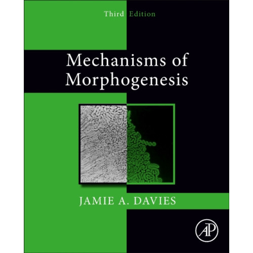 Elsevier Science & Technology Mechanisms of Morphogenesis (häftad, eng)