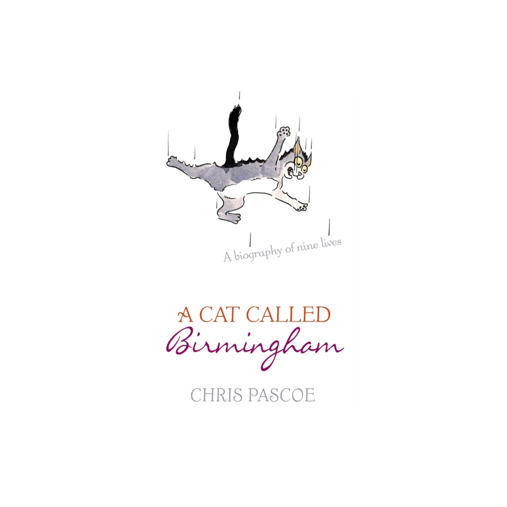 Produktbild för A Cat Called Birmingham (häftad, eng)