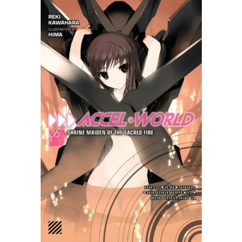 Little, Brown & Company Accel World, Vol. 6 (Novel) (häftad, eng)