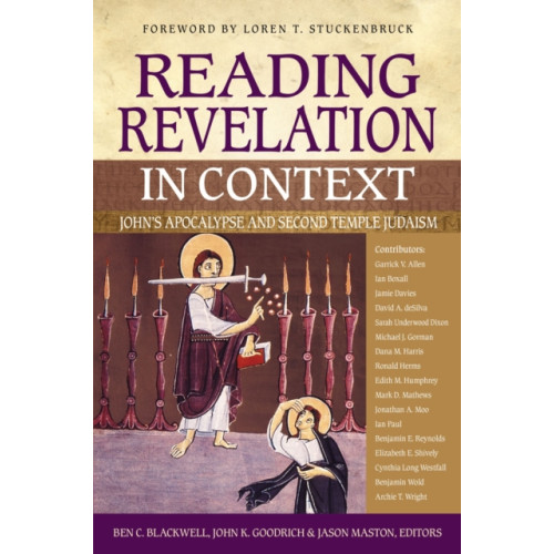 Zondervan Reading Revelation in Context (häftad, eng)