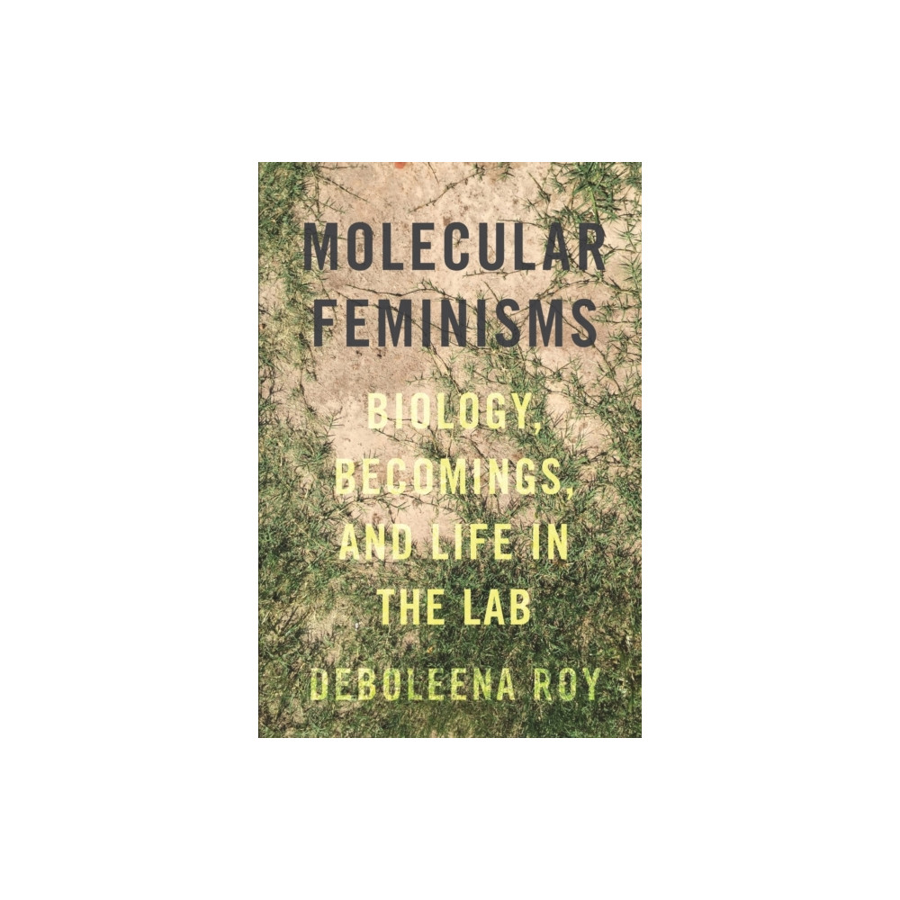 Produktbild för Molecular Feminisms (häftad, eng)