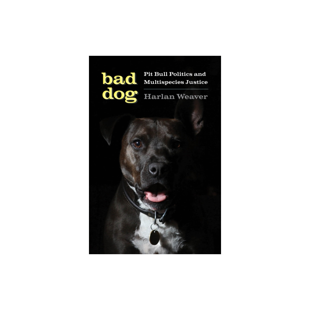 Produktbild för Bad Dog (häftad, eng)