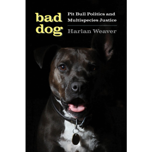 University of Washington Press Bad Dog (häftad, eng)