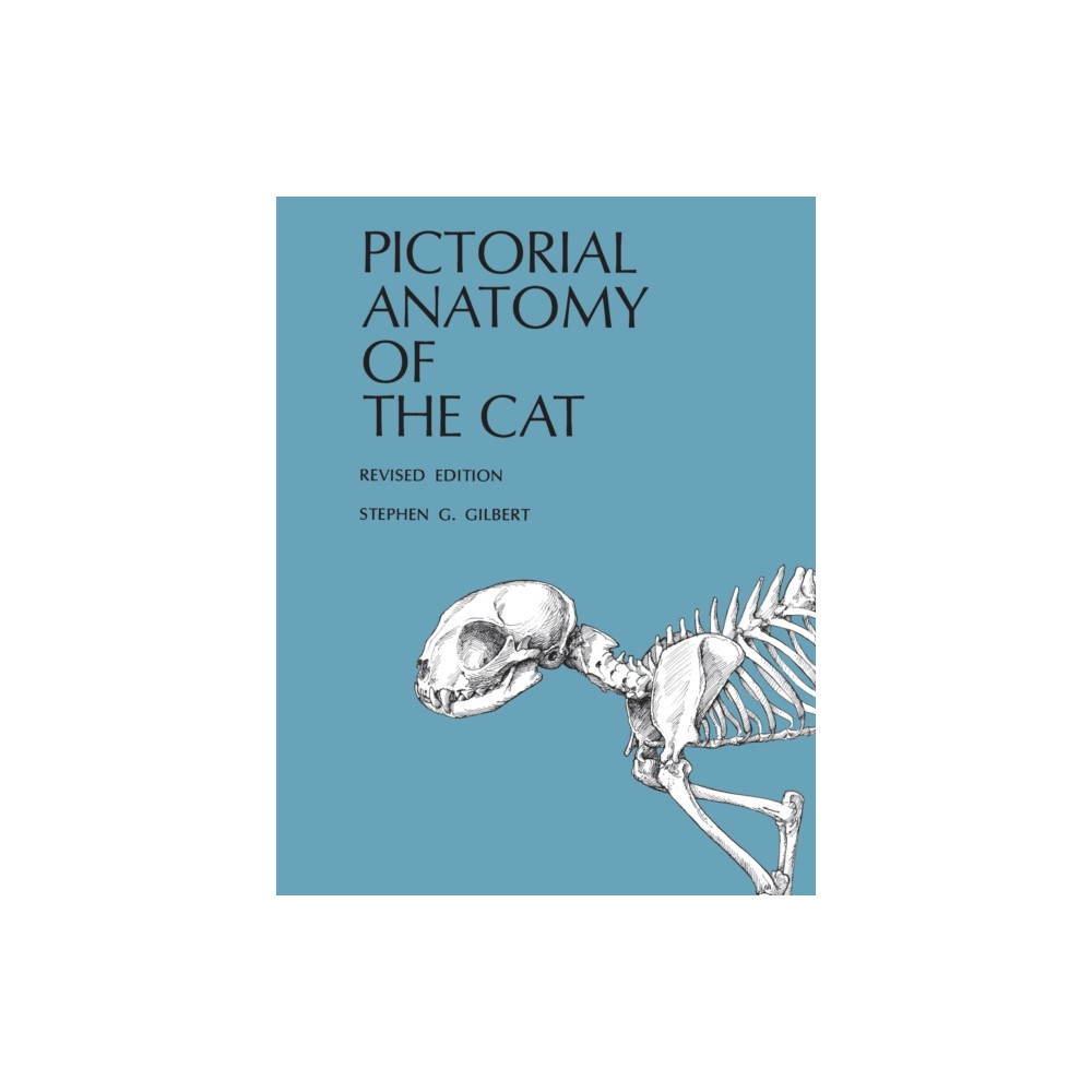 Produktbild för Pictorial Anatomy of the Cat (häftad, eng)