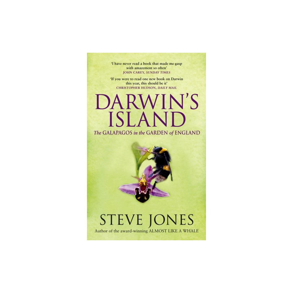 Produktbild för Darwin's Island (häftad, eng)