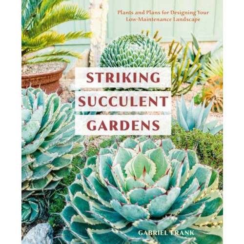 Random House USA Inc Striking Succulent Gardens (häftad, eng)