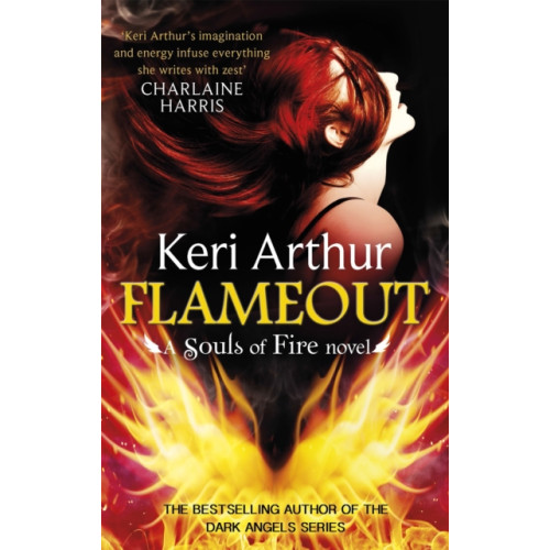 Little, Brown Book Group Flameout (häftad, eng)