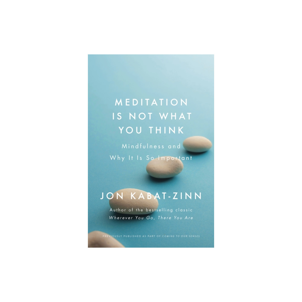 Produktbild för Meditation is Not What You Think (häftad, eng)