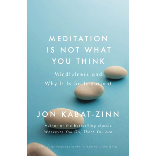 Little, Brown Book Group Meditation is Not What You Think (häftad, eng)