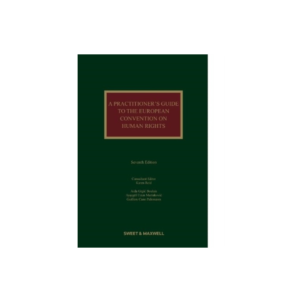Produktbild för A Practitioner's Guide to the European Convention on Human Rights (inbunden, eng)