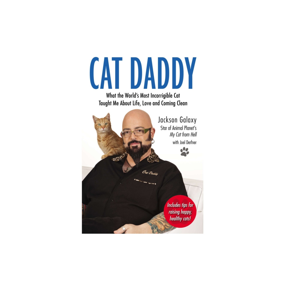 Produktbild för Cat Daddy (häftad, eng)