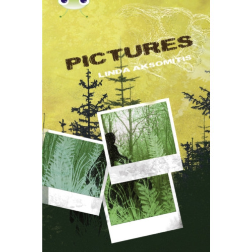 Pearson Education Limited Bug Club Independent Fiction Year 5 Blue B Pictures (häftad, eng)
