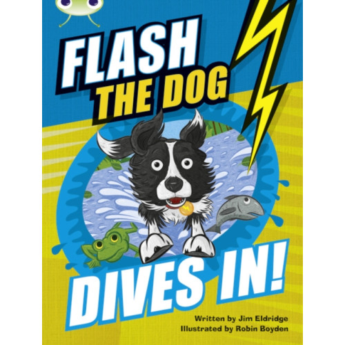 Pearson Education Limited Bug Club Independent Fiction Year 3 Brown B Flash the Dog Dives In! (häftad, eng)