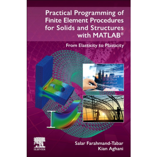 Elsevier - Health Sciences Division Practical Programming of Finite Element Procedures for Solids and Structures with MATLAB® (häftad, eng)