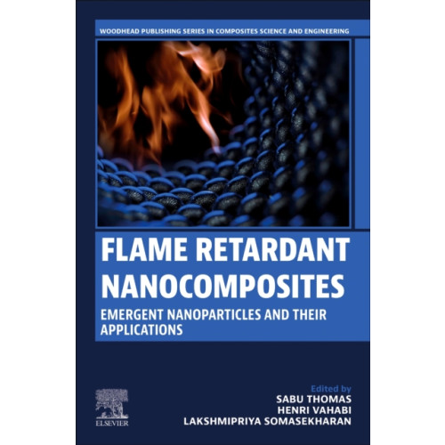 Elsevier - Health Sciences Division Flame Retardant Nanocomposites (häftad, eng)