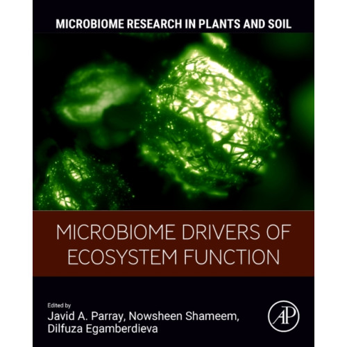 Elsevier Science Publishing Co Inc Microbiome Drivers of Ecosystem Function (häftad, eng)