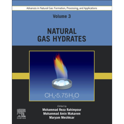 Elsevier - Health Sciences Division Advances in Natural Gas: Formation, Processing, and Applications. Volume 3: Natural Gas Hydrates (häftad, eng)