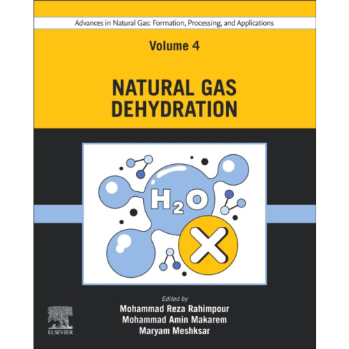 Elsevier - Health Sciences Division Advances in Natural Gas: Formation, Processing, and Applications. Volume 4: Natural Gas Dehydration (häftad, eng)