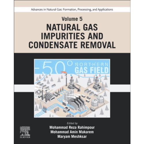 Elsevier - Health Sciences Division Advances in Natural Gas: Formation, Processing, and Applications. Volume 5: Natural Gas Impurities and Condensate Removal (häftad, eng)