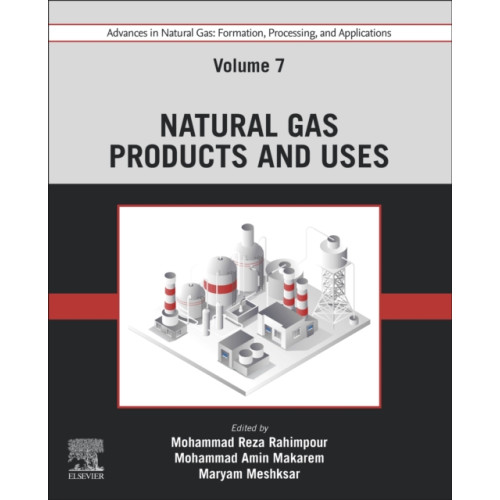 Elsevier - Health Sciences Division Advances in Natural Gas: Formation, Processing, and Applications. Volume 7: Natural Gas Products and Uses (häftad, eng)