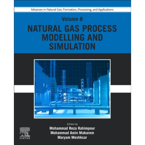 Elsevier - Health Sciences Division Advances in Natural Gas: Formation, Processing, and Applications. Volume 8: Natural Gas Process Modelling and Simulation (häftad, eng)