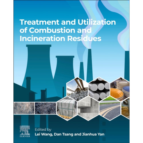 Elsevier - Health Sciences Division Treatment and Utilization of Combustion and Incineration Residues (häftad, eng)